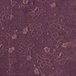 violet/grape